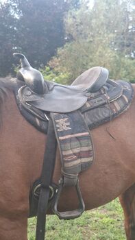 Big Horn westernsattel kurz, Big Horn , J. Klose , Westernsattel, Knorrendorf 