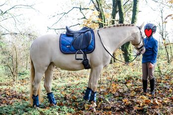 bildhübsche Reitpony Stute in außergewöhnlicher Farbe, Kerstin Rehbehn (Pferdemarketing Ost), Pferd kaufen, Nienburg