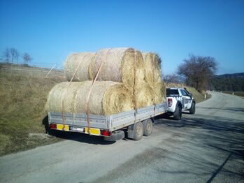 BIO Heu für Pferde - Bergheu Pferdeheu, Hannes T., Hay & Straw, Mühldorf