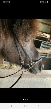 Biothane Trense, Silvia Dorau-Goebel, Bridles & Headstalls,  Schüller