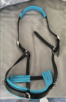 Kappzaun aus biothane, Hand made, Laura , Lunging, Harsefeld