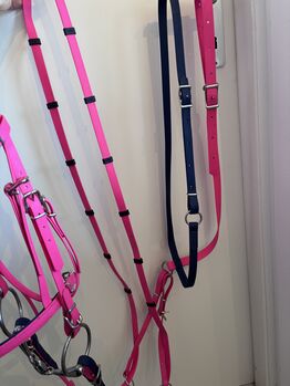 Biothanetrense, Zügel & Martingal in Pink