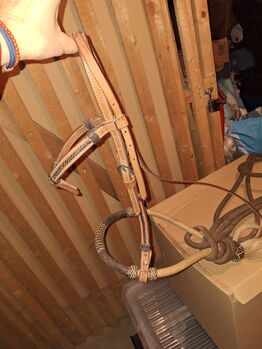 Gebisslose Zäumung Bosal