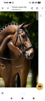 Gebisslose Trense BR Side pull lewes neu schwarz full wb, BR Lewes, Laura , Bitless Bridles, Essen