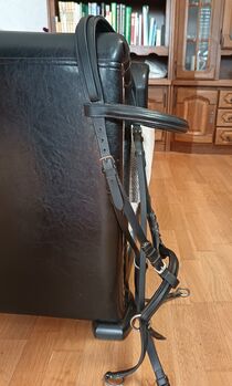 Bitless Bridle