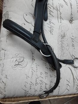 Bitless Bridle Dr. Cook Dr. Cook