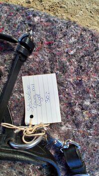 Gebissloser Zaum mit Zügel