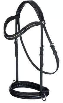 Gebisslose Trense, Sabine, Bitless Bridles, Franzenheim