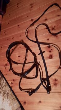 Gebisslose Trense, Josephine , Bitless Bridles, Badeborn