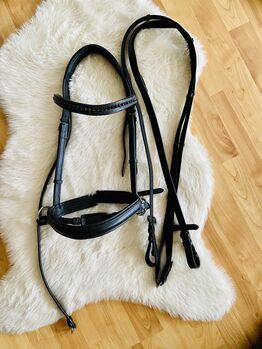 Gebisslose Zäumung, Bitless Bridle Gebisslose Trense, Anna Peitzker, Bitless Bridles, Göttingen