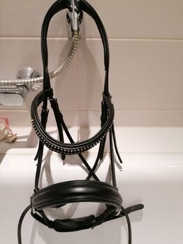 Bitless Bridle, Bittles Bridle Anna, Petra Helm , Bitless Bridles, Hannover