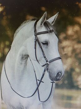 Gebisslose Trense, Mirjam, Bitless Bridles, Kemmath