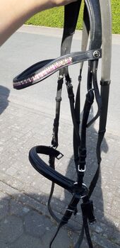 Gebisslose Trense von Kingscrown, Kingscrown, Jasmin, Bitless Bridles, Melle