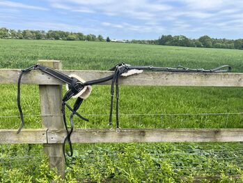 Black 5 point breastplate, Five point breastplate , Ellena Mendham, Hilfszügel, Norwich