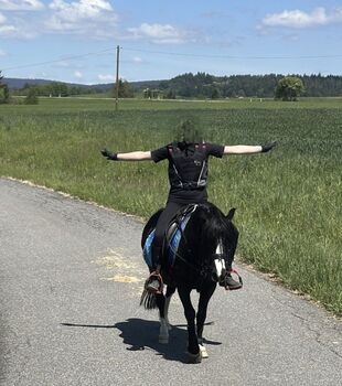 Kinderpony Black Beauty