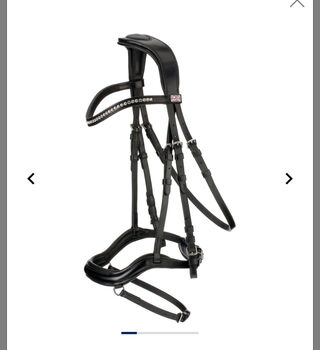 Schwarzes Zaumzeug, Claridge House Melbourne, Alina, Nosebands, Landskron