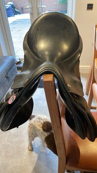 Black GP Saddle, Exselle, lisa matthews , All Purpose Saddle, aldershot 