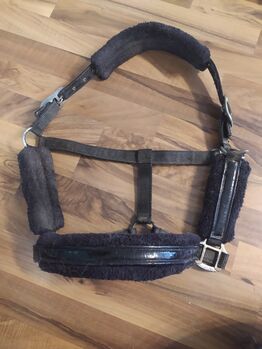 Schwarzes Halfter, Busse, Saskia , Halters, Neuhausen auf den Fildern