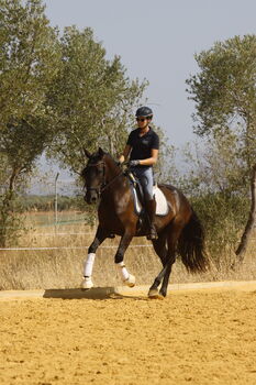 Black pearl looking for a dream home