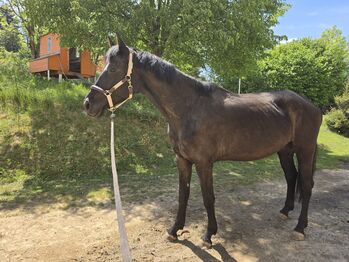 Schwarze Prinzessin