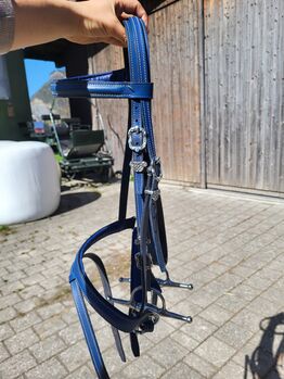 Blauer Zaum COB/VB, Rahel , Trensen, SCHIERS