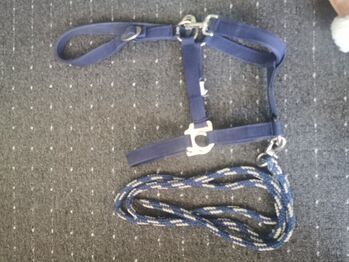 Blaues Fohlen halfter mit Strick, Daniela Cardoso, Halters, Neubiberg
