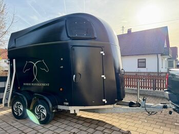 Blomert New Star Aluboden Saka Pferdeanhänger Pferdehänger, Blomert  New Star, Fuchs Daniel, Ellgau - Pferdeanhänger seit 2016  (Nutzfahrzeughandel und Vermietung Daniel Fuchs ), Horse Trailers, Ellgau 
