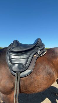 Barefoot chayenne drytex, Barefoot Baumloser Sattel , Englert Kerstin , Treeless Saddle, Gleisdorf 