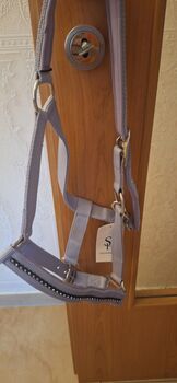 Glitzer Halfter Showmaster, Showmaster , Majo, Kantary, Recklinghausen 