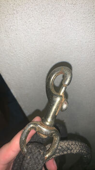 Bodenarbeitsseil – guter Zustand, nur leichter Rost am Haken, Freya, Bodenarbeit, Farschweiler