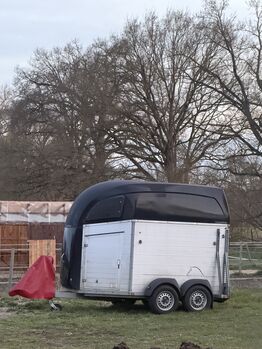 Böckmann Champion (R) mit Sattelkammer sofort Einsatzbereit, Böckmann Champion (R), Anna-Lena, Horse Trailers, Lübtheen