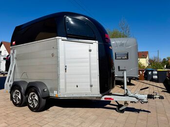 ❗️Böckmann Champion R Saka Aluboden Pferdeanhänger Pferdehänger, Böckmann Champion R, Fuchs Daniel, Ellgau - Pferdeanhänger seit 2016  (Nutzfahrzeughandel und Vermietung Daniel Fuchs ), Przyczepa konna, Ellgau 