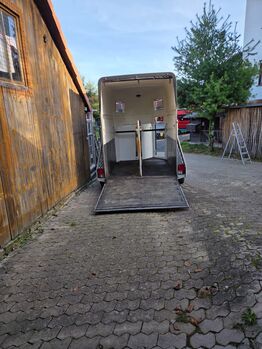 Böckmann comfort pferdeanhänger Böckmann  Comfort