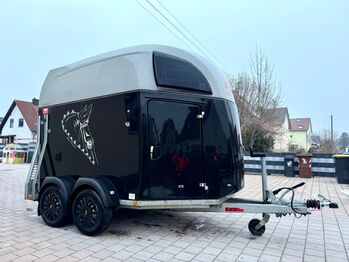 ❗️Böckmann Comfort Saka ALUBODEN Pferdeanhänger Pferdehänger, Böckmann  Comfort , Fuchs Daniel, Ellgau - Pferdeanhänger seit 2016  (Nutzfahrzeughandel und Vermietung Daniel Fuchs ), Horse Trailers, Ellgau 