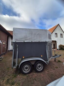 Böckmann Duo Pferde / Viehtransporter, Böckmann DUO, Ute Niebuhr , Horse Trailers, Rahden-Varl 