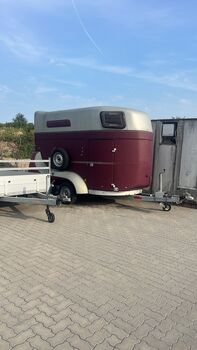 Böckmann Top Master, Böckmann  Top Master, Carolyn Wittenborn , Horse Trailers, Leimersheim 