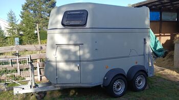 Böckmann Vollpoly 2 Pferdeanhänger sehr guter Zustand, Böckmann Comfort, Mirko, Horse Trailers, Berlin