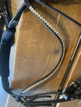 Stirnriemen geschwungen