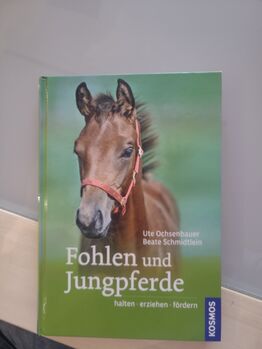 Buch Fohlen und Jungpferde Kosmos