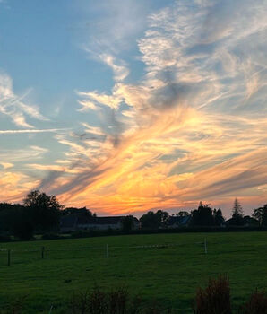 Paddockbox Box Roundpan Pferd Pony, Keppens , Wolna stajnia, Aachen