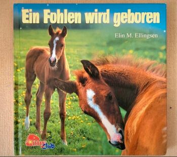 Buch "Ein Fohlen wird geboren", Pony Club Verlag , Tina, Books, Oberursel