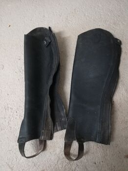 Steiefelschaft / Chaps, Steeds, Jenny, Half Chaps, Wangen 