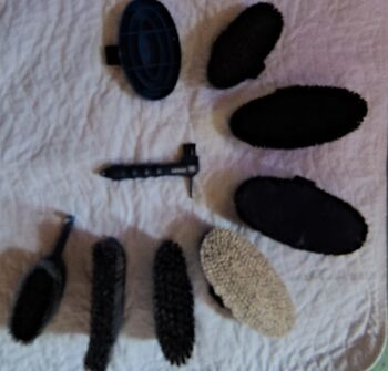 Bürsten Set von Haas 9-teilig Haas