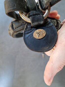 vorderzeug martingal springcombi prestige braun wb full Prestige  Vorderzeug 