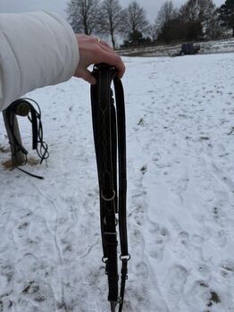 Vorderzeug/mit Ziernähten/ braun/WB, bonny, Saddle Accessories, Greifswald