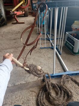 Bosal trense Unbekannt  Trense