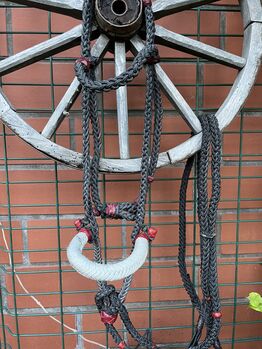 Bosal Trense Pony, Robust, Janine Haack, Bitless Bridles, Elze