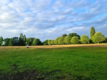 Box frei für Allergiker in Ratingen, Silke, Stallplätze, Ratingen
