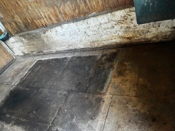 Boxenmatten, Barbara Schlor, Paddock-, Boxen- & Stallmatten, Rohrdorf