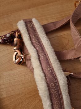 Tolles Halfter und Strick Felix Bühler